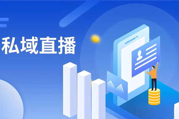 私域直播：开启电商营销新机遇